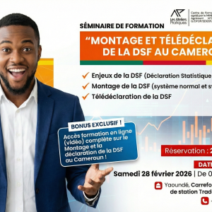 Séminaire de Formation "Montage et Télédéclaration de la DSF au Cameroun"